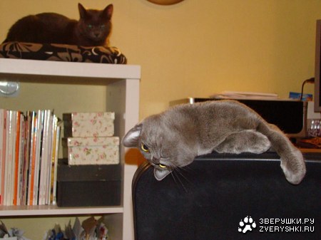 �������������� ������ � ������ (25 ����)