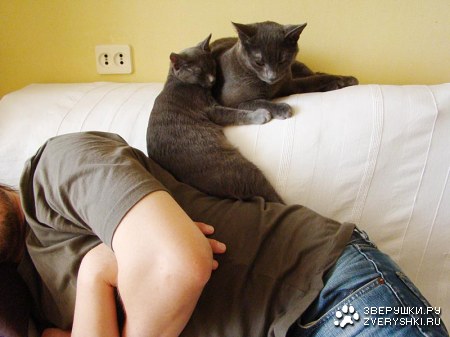 �������������� ������ � ������ (25 ����)