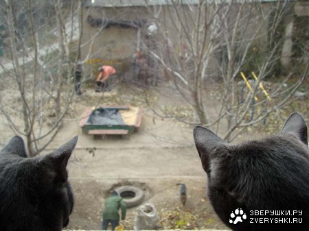 �������������� ������ � ������ (25 ����)