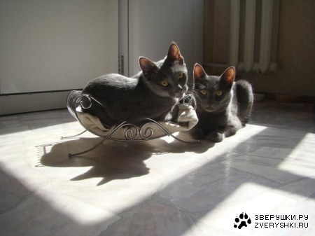 �������������� ������ � ������ (25 ����)