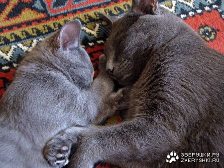 �������������� ������ � ������ (25 ����)