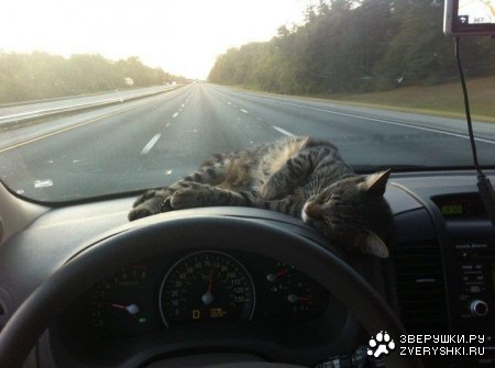 �������� ��������� :)