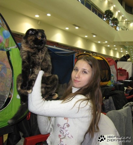 ���� ������ �������� � �������! :)