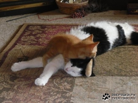 ��� ����� ��� ������ :)