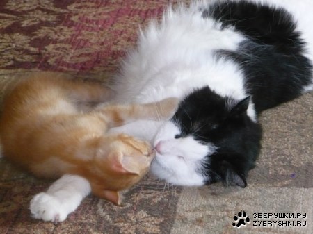 ��� ����� ��� ������ :)