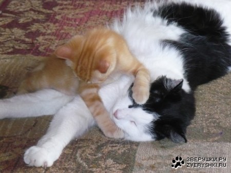 ��� ����� ��� ������ :)