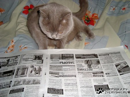 ������ - ���� :)