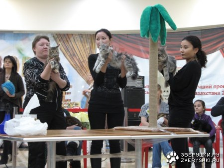 �������� ����� � ������ (����������)