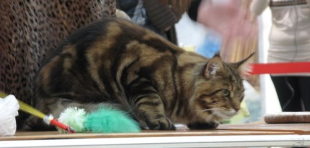 �������� ����� � ������ (����������)