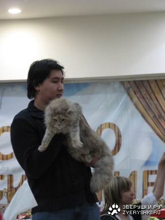 �������� ����� � ������ (����������)