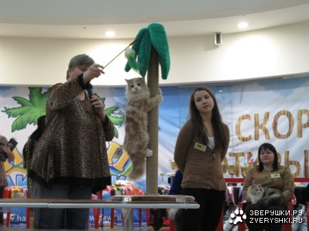 �������� ����� � ������ (����������)