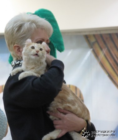 �������� ����� � ������ (����������)