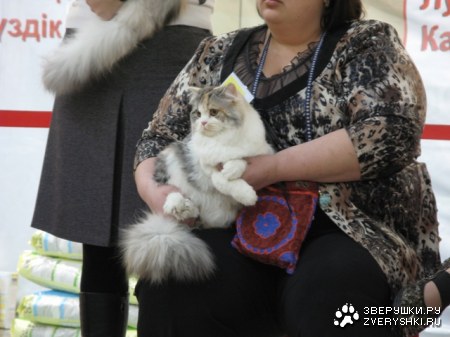 �������� ����� � ������ (����������)