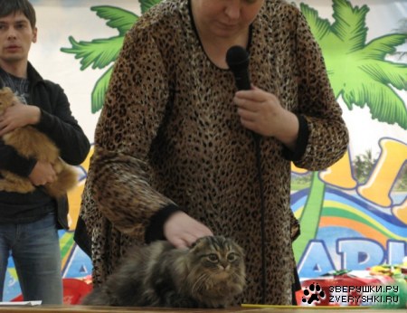 �������� ����� � ������ (����������)