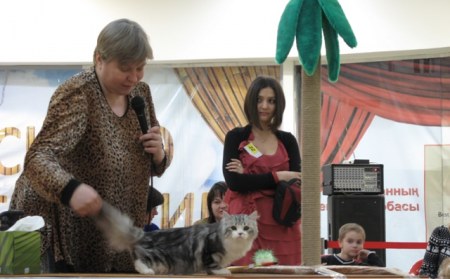 �������� ����� � ������ (����������)