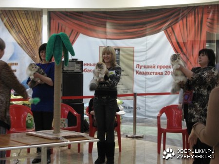 �������� ����� � ������ (����������)