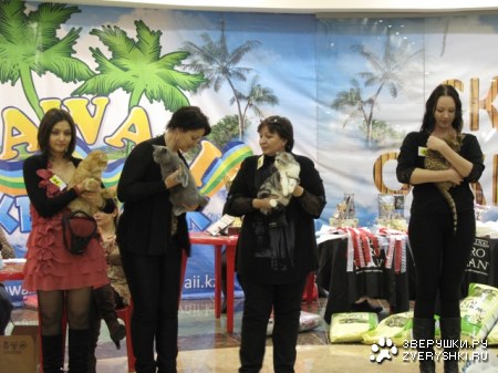 �������� ����� � ������ (����������)