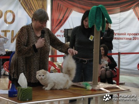 �������� ����� � ������ (����������)