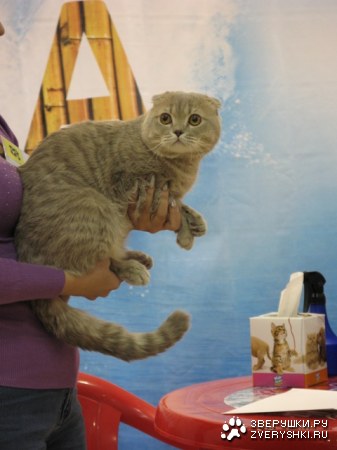 �������� ����� � ������ (����������)