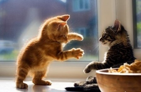 ����� ����� ����� ���� ������ :)