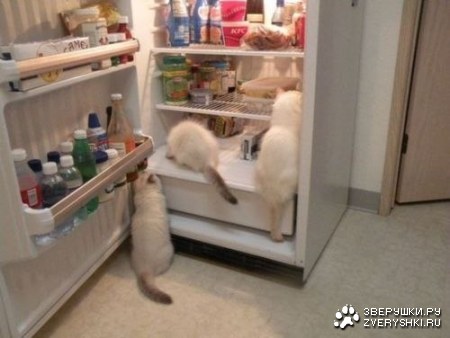 ��������� ;)