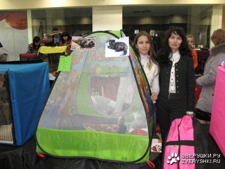 ���� ������ �������� � �������! :)