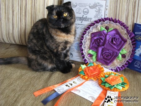 ���� ������ �������� � �������! :)