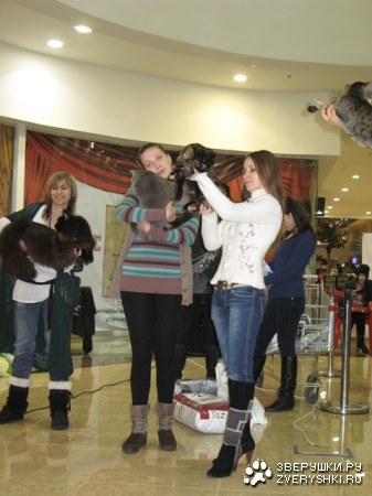 ���� ������ �������� � �������! :)