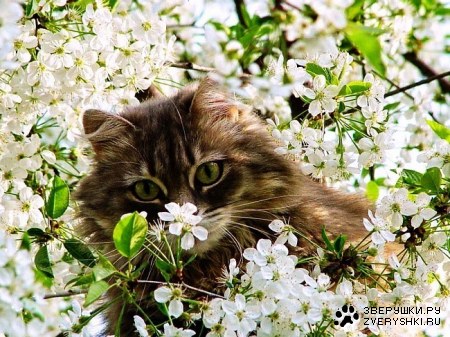 � ������ ���� �����! :)