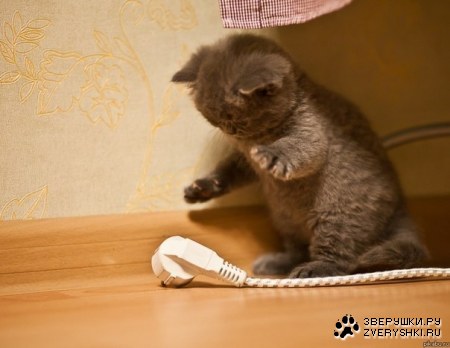 �� ��� ��� �����? ;)