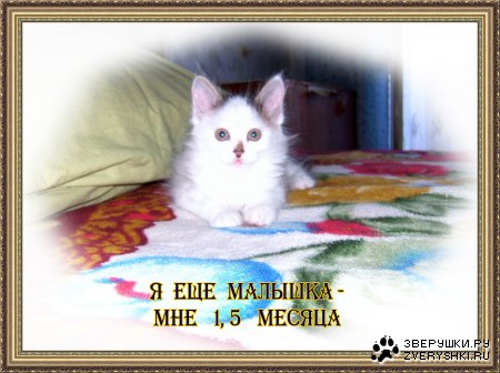 ��� ������� ���� ������� :)