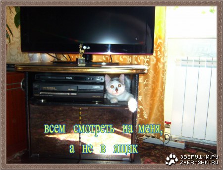 ��� ������� ���� ������� :)