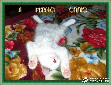 ��� ������� ���� ������� :)