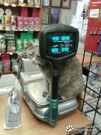 � - ����� ��� :)