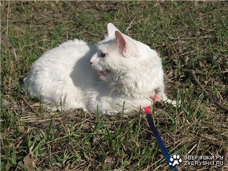 ����� �� �������� :)