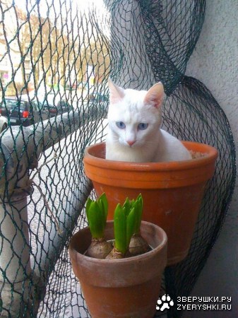 ��� � ���� ��������?! :)