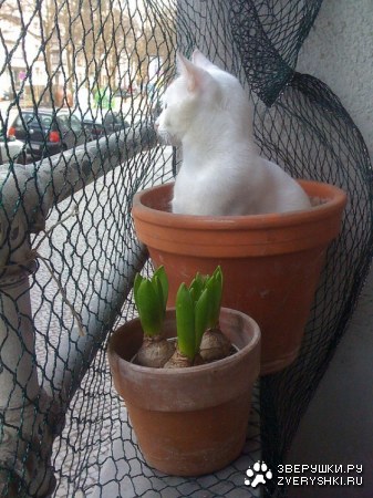 ��� � ���� ��������?! :)