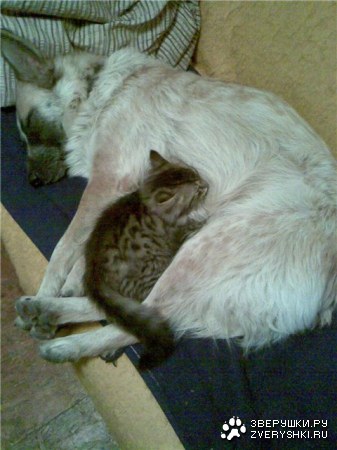 ��� ����� � ������� ;)