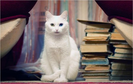 ��� ������ :)