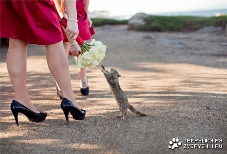 � �������� ���! ;)