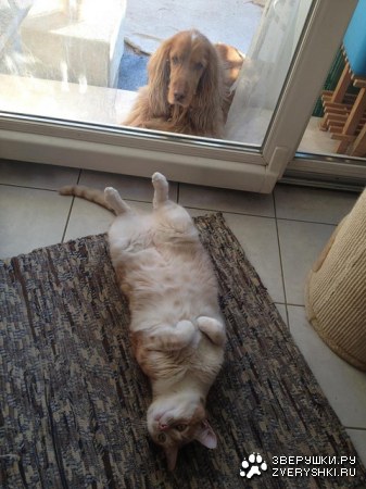 �������, � � ���� ������ ;)