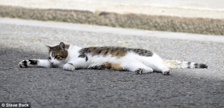 ��� ����������� �������-�������� (6 ����)