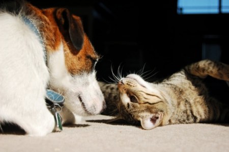 ����� ���������!