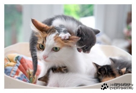 ��, �� ��� �����! :)