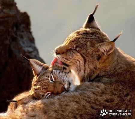 � ���� �����, ����� � ��������!