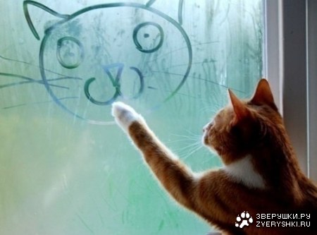 ������� ����������� :)