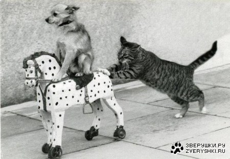 �����-������ ;)