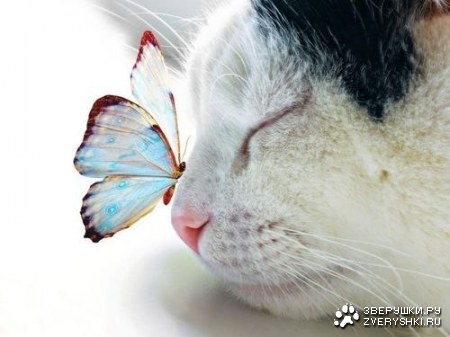 �������� ��� ��� ;)