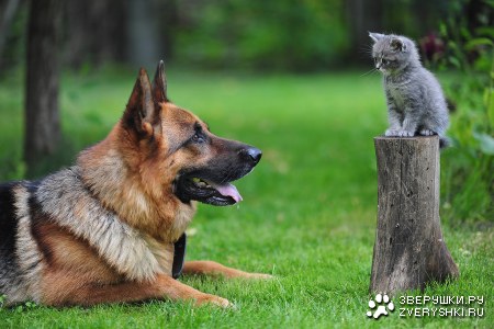 ������, � ������! ;)