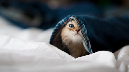 ���������... :)